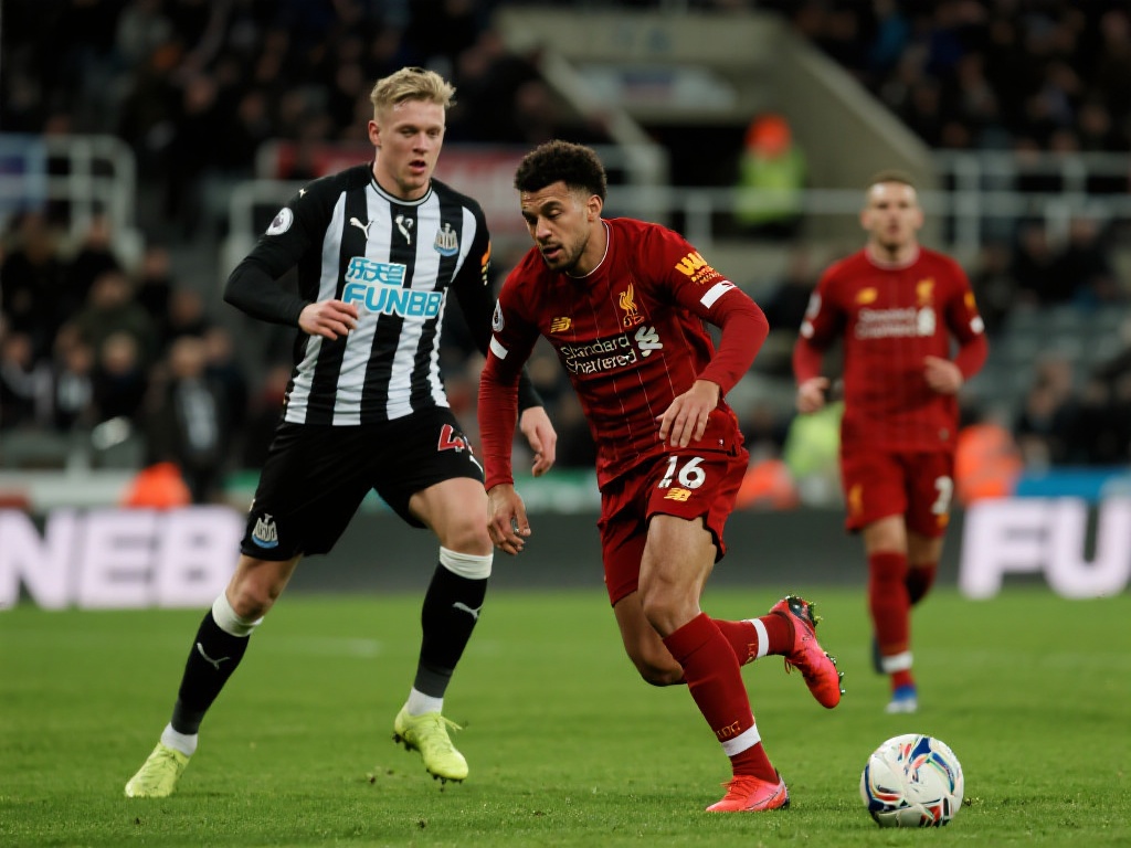 如欧盟的G 如欧盟的G