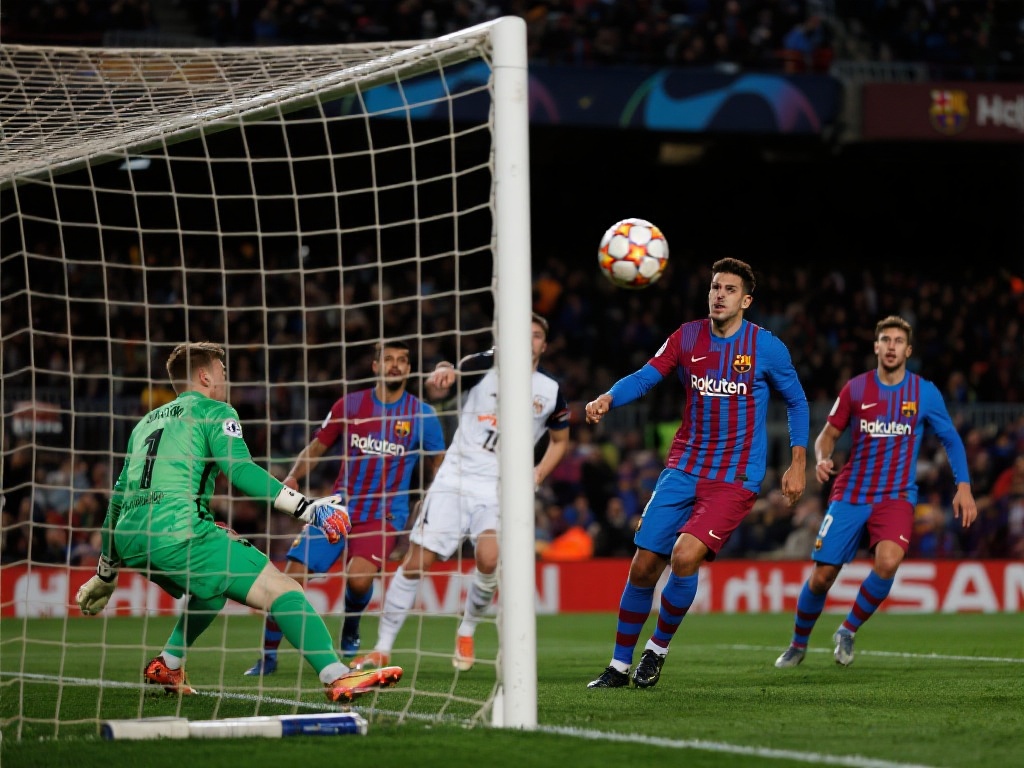 去希望和感 去希望和感