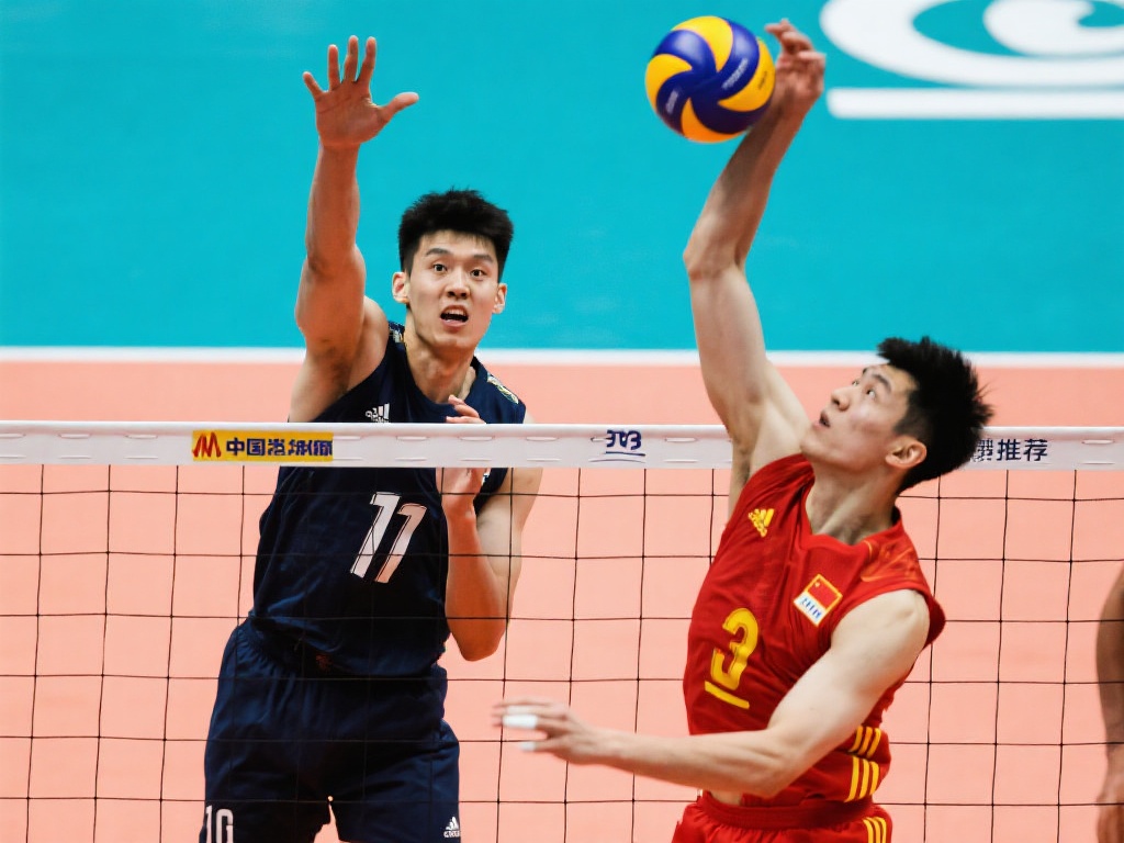 看的内容 看的内容